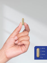 Cargar imagen en el visor de la galería, Horbäach Huperzine A 400 mcg | 180 Cápsulas | Suministro Extendido