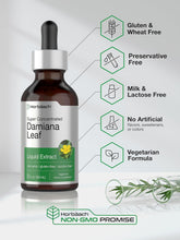 Cargar imagen en el visor de la galería, Horbäach Tintura de Hoja de Damiana | Extracto Líquido Sin Alcohol | 2 oz