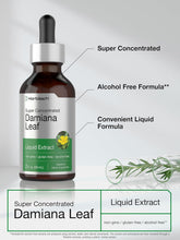 Cargar imagen en el visor de la galería, Horbäach Tintura de Hoja de Damiana | Extracto Líquido Sin Alcohol | 2 oz
