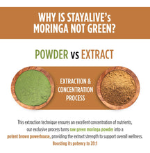 Cargar imagen en el visor de la galería, Stay Alive Cápsulas De Moringa Pura Equivalente A 20000 Mg