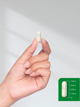 Cargar imagen en el visor de la galería, Horbäach Mejillón De Labios Verdes 750 Mg 120 Cápsulas
