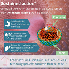Cargar imagen en el visor de la galería, Longvida Curcumina Optimizada De 500 Mg Ultra Biodisponible