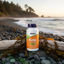 Cargar imagen en el visor de la galería, Kelp NOW Foods 150 mcg de Yodo Natural | 500 Tabletas | Vegano | Sin Gluten