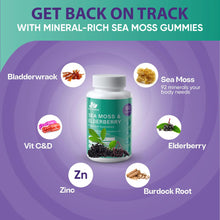 Cargar imagen en el visor de la galería, BioVitalica Gomitas Musgo Marino + Vitamina C, D y Zinc | Inmunidad