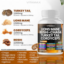 Cargar imagen en el visor de la galería, Vitamax Seta De Melena De Leones 3000 Mg De Cola De Pavo