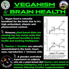 Cargar imagen en el visor de la galería, Impulso Vegano Para El Cerebro Y El Cuerpo: La Cereza Encima