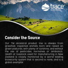 Cargar imagen en el visor de la galería, Trace Minerals Hígado de Res Ancestral | 3,000mg | 180 Cápsulas | Paleo y Keto | Sin Gluten