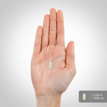 Cargar imagen en el visor de la galería, Piping Rock Antioxidantes Ultra Max 120 Cápsulas | Vitaminas A + C + E | Fórmula Super Avanzada | Sin OGM Sin Gluten | Hombres y Mujeres
