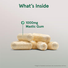 Cargar imagen en el visor de la galería, Jarrow Formulas Mastic Gum 1000 Mg 60 Cápsulas Vegetales -