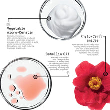 Cargar imagen en el visor de la galería, Framesi Morphosis Repair Shampoo 33.8 Fl Oz Hidrata Y