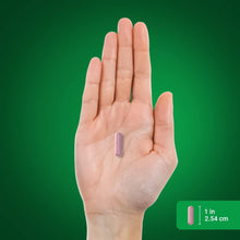 Cargar imagen en el visor de la galería, Piping Rock Cápsulas de raíz de remolacha | 1500 mg | 120 píldoras | Suplemento de extracto de hierbas | Beta vulgar | Sin OMG, sin gluten
