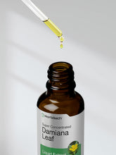 Cargar imagen en el visor de la galería, Horbäach Tintura de Hoja de Damiana | Extracto Líquido Sin Alcohol | 2 oz
