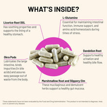Cargar imagen en el visor de la galería, Mountain Peak Fórmula Digestiva | Prebiótico + Microbioma | Mountain Peak Nutritionals
