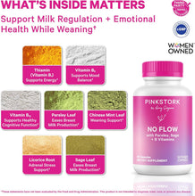 Cargar imagen en el visor de la galería, Pink Stork No Flow | Supresión Lactancia | Salvia + Perejil + Vit B | 60 Cápsulas | Posparto
