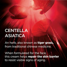 Cargar imagen en el visor de la galería, Crema De Cuidado Facial Hidratante Con Pro Retinol Y
