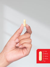 Cargar imagen en el visor de la galería, Horbäach Acetil L Carnitina Hcl Y Ácido Alfa Lipoico 1200 Mg
