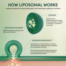 Cargar imagen en el visor de la galería, Beekeeper's Naturals Propóleos + Vitamina C Liposomal 1000mg | 12 Sobres
