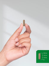 Cargar imagen en el visor de la galería, Horbäach Avena Sativa Extract 1150 Mg   200 Cápsulas
