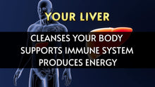 Cargar imagen en el visor de la galería, Liverite Liver Aid 120 Tabletas Soporte Hepático Limpieza
