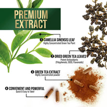 Cargar imagen en el visor de la galería, Extracto De Té Verde 98% Egcg Estandarizado  3 Veces De
