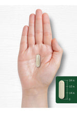 Cargar imagen en el visor de la galería, Carlyle Gymnema Sylvestre | 600 mg | 200 Cápsulas | Hierba Ayurvédica | Sin OMG | Sin Gluten | Probado en Laboratorio
