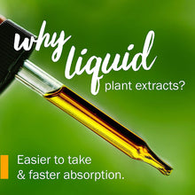 Cargar imagen en el visor de la galería, Herb Pharm Extracto Líquido De Gotu Kola Orgánico
