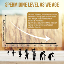 Cargar imagen en el visor de la galería, Spermidine Supplements 13mg 1300mg Cápsulas De Extracto De
