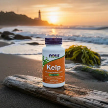 Cargar imagen en el visor de la galería, Kelp NOW Foods 150 mcg de Yodo Natural | 500 Tabletas | Vegano | Sin Gluten
