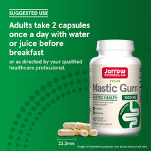 Cargar imagen en el visor de la galería, Jarrow Formulas Mastic Gum 1000 Mg 60 Cápsulas Vegetales -
