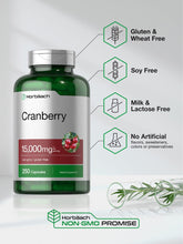 Cargar imagen en el visor de la galería, Horbäach Arándano + Vitamina C 15,000mg | 250 Cápsulas | Antioxidante
