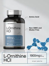 Cargar imagen en el visor de la galería, Horbäach L Ornitina Hcl   1900 Mg   120 Cápsulas
