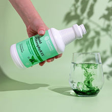 Cargar imagen en el visor de la galería, Natures Sunshine Clorofila Es Extra Fuerte 16 Onzas Líquidas
