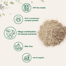 Cargar imagen en el visor de la galería, Micro Ingredients Mega Hongos 10 en 1 Orgánico en Polvo 284g | Reishi Chaga León Cordyceps + 7 más | Inmunidad Cerebro Longevidad

