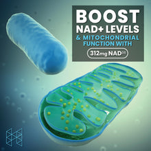 Cargar imagen en el visor de la galería, Hpn Nutraceuticals Niagen Nicotinamide Riboside Tamaño De
