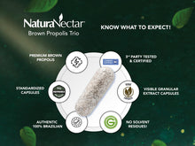 Cargar imagen en el visor de la galería, Naturanectar Propóleo De Abeja Marrón   Contenido
