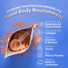Cargar imagen en el visor de la galería, FlavCity Whey + Colágeno | Proteína + Colágeno | Sin Azúcar | Alta Pureza
