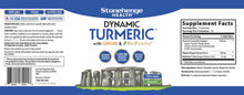 Cargar imagen en el visor de la galería, Stonehenge Health Dynamic Turmeric Curcumin With Ginger High
