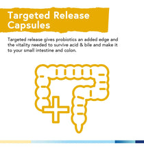 Cargar imagen en el visor de la galería, Terranics Probiotics 60 Billion Cfu 20 Strains 60 Veg
